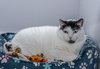 Maggie - KBC - Photo 1