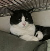Tony - Photo 6