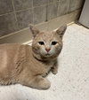Romeo - Photo 3