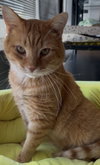 Corduroy - Photo 2