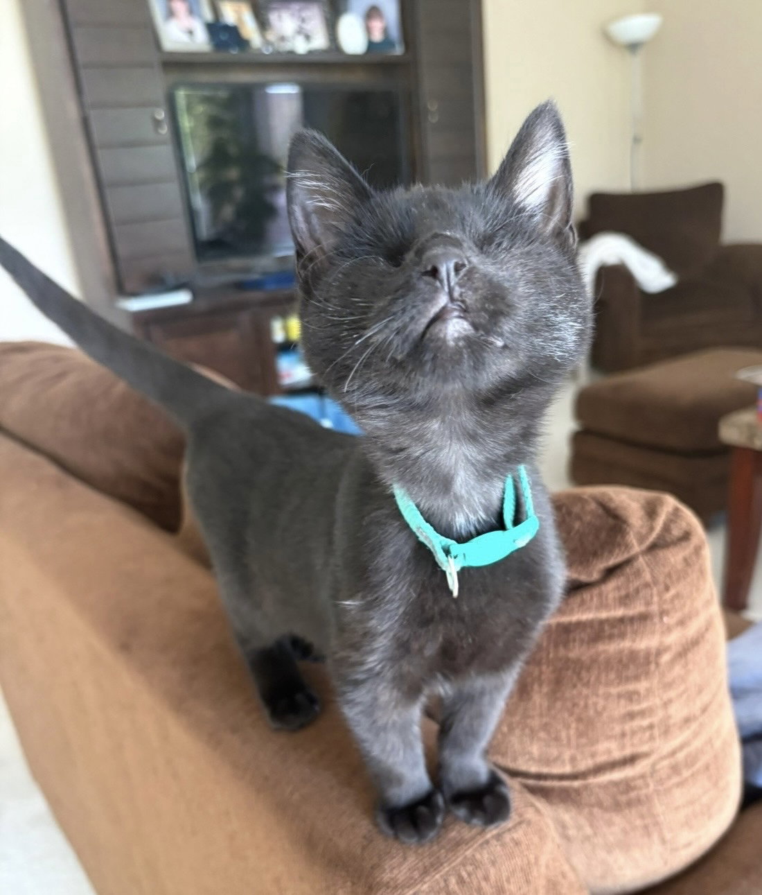 Breezy (bonded to Sky) Image