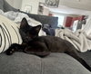 Breezy (bonded to Sky) - Photo 3