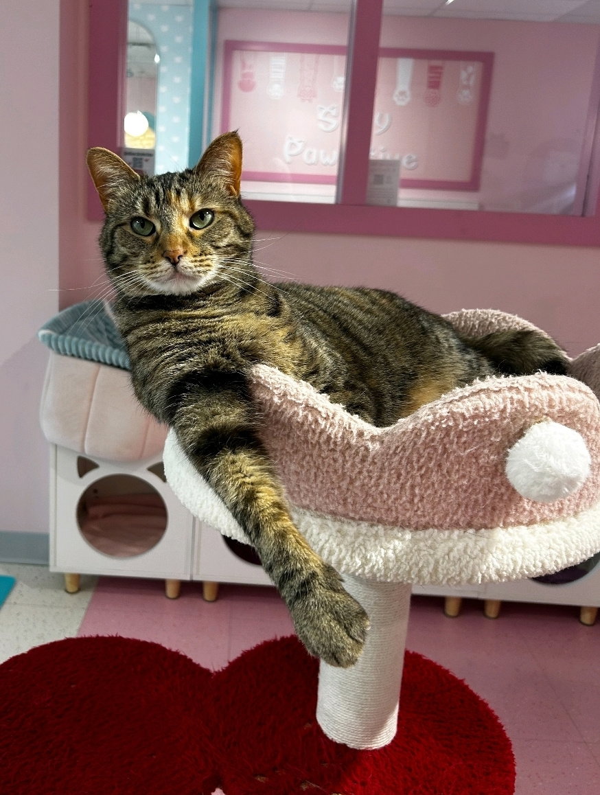Zoey - KBC Image