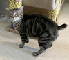 Wooter - Photo 5
