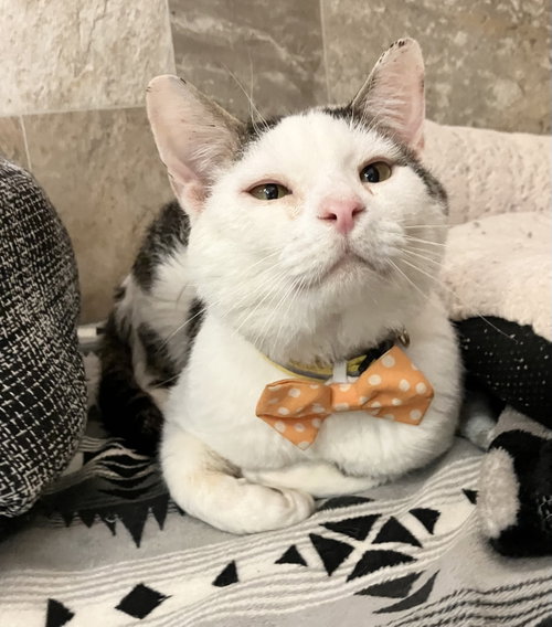 Benny