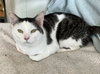 Benny - Photo 2