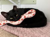 Slinky - KBC - Photo 4