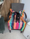 Slinky - KBC - Photo 7
