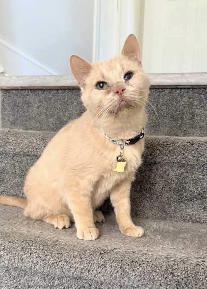 Horace (bonded to Silas)
