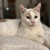 Floyd (bonded to Earl) - Photo 1