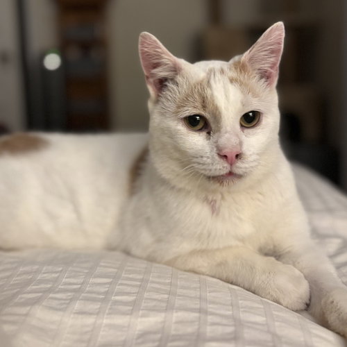 Floyd (bonded to Earl)
