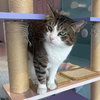 Amelia - KBC - Photo 1