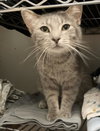 Samuel Whiskers - Photo 6