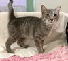 Samuel Whiskers - Photo 3