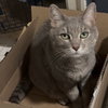 Sophie - Photo 3
