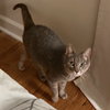 Sophie - Photo 1