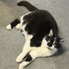 Belle - Photo 2