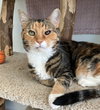 Tonks - KBC - Photo 1