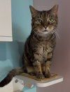 Yutani (bonded to Weyland) - KBC - Photo 1