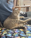 Keitha - Photo 2