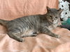 Keitha - Photo 3