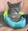 Keitha - Photo 4