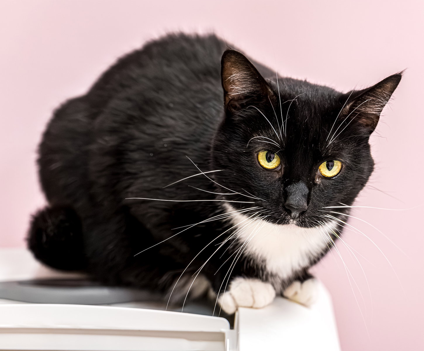 Slipper (bonded with LaRue) - KBC Image