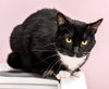 Slipper (bonded with LaRue) - KBC - Photo 1
