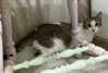 Timmy - Photo 6