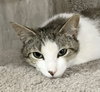 Timmy - Photo 2