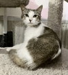 Timmy - Photo 1