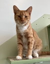 Kiki - Photo 1