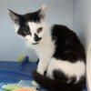 Jeannae - KBC (bonded with Monty) - Photo 2