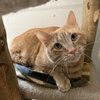 Dutton - Photo 3