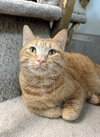 Dutton - Photo 1