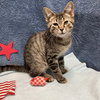 Jasper - Photo 2