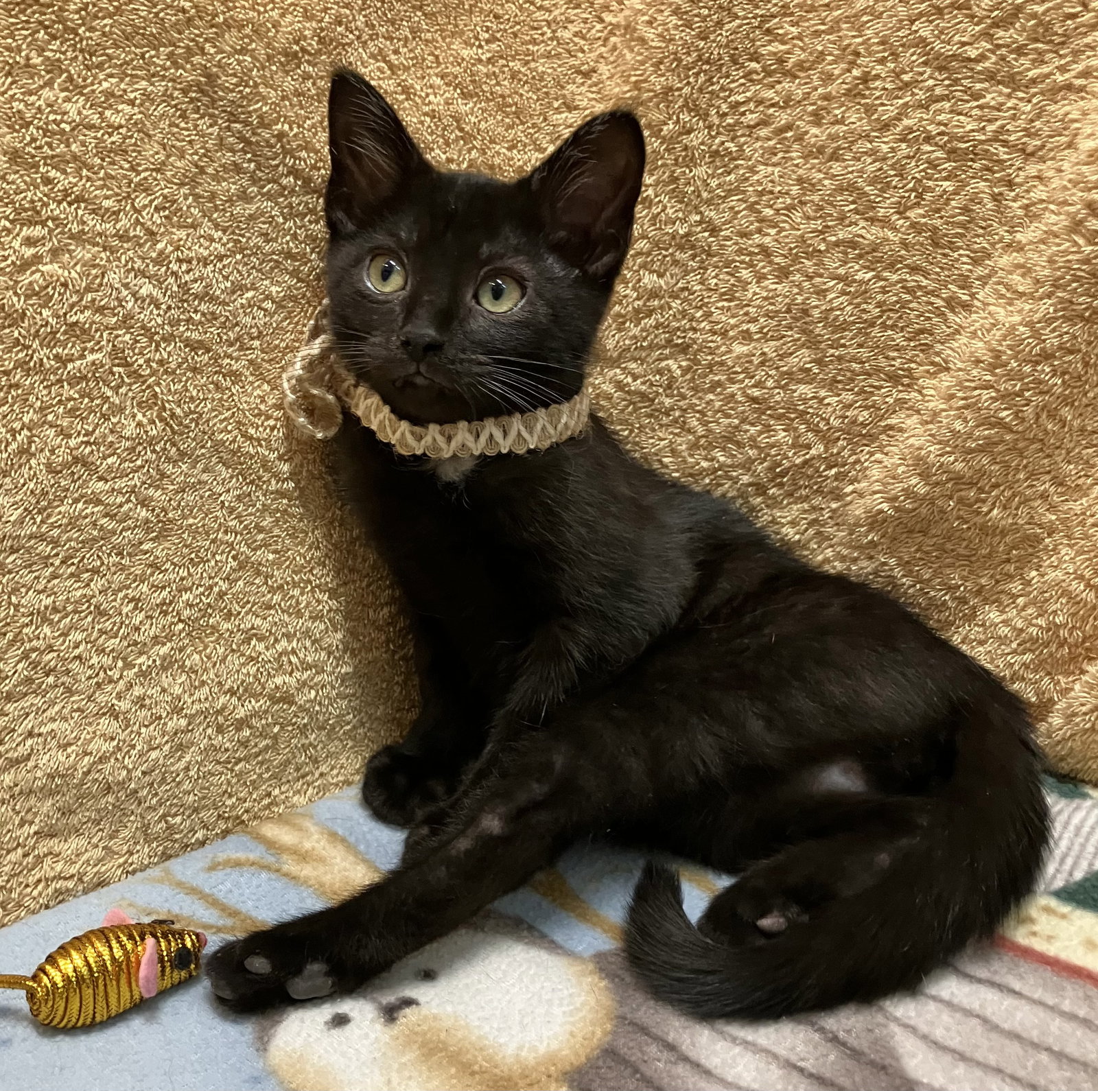 Roku (bonded with Azula) Image