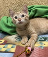 Iroh - Photo 4