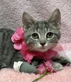 Yuki - Photo 1