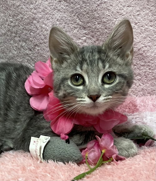 Yuki