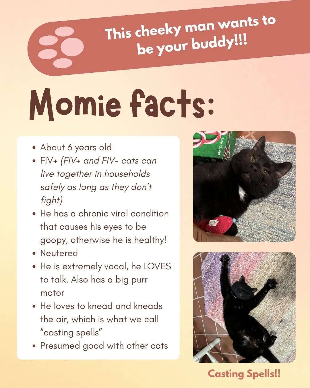 Momie image 3