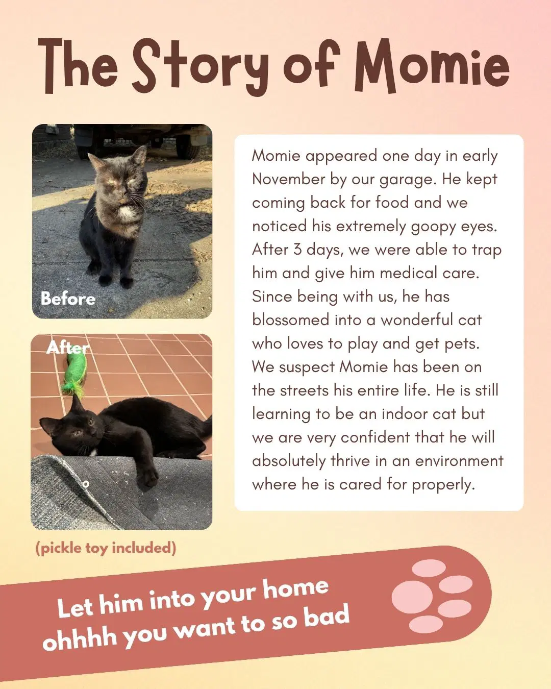 Momie image 4