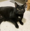 Precious - Photo 1