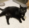 Precious - Photo 3