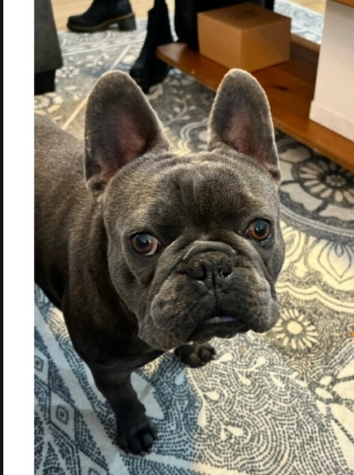 Doug