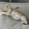Jeff - Photo 1