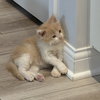 Jeff - Photo 4