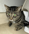 Franklin - Photo 1