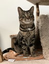 Franklin - Photo 3