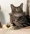 Franklin - Photo 2